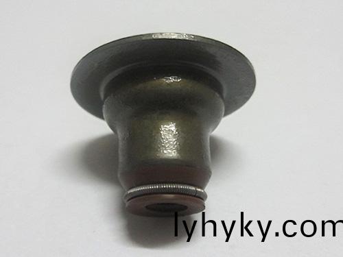 骨(gu)架氣(qi)門油封(feng)密(mi)封件(jian)